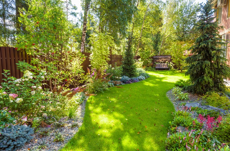 Groenblijvende bomen Groenblijvende bomen